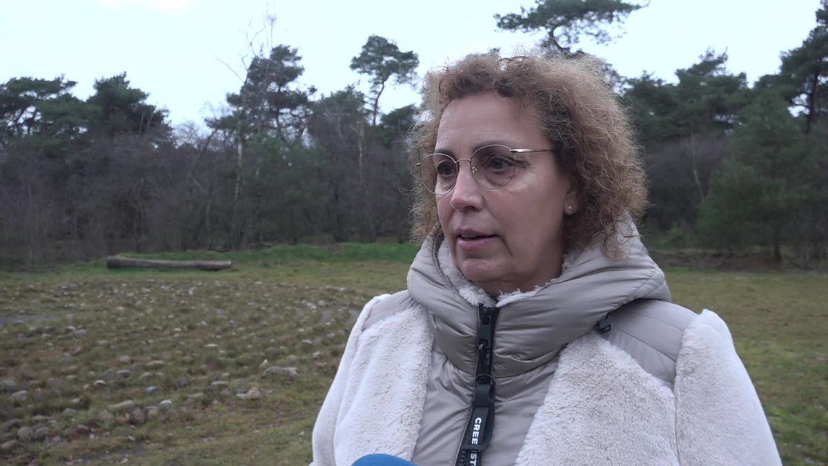 Labyrinth van veldkeien op 'krachtplaats' De Luttenberg verbindt mensen