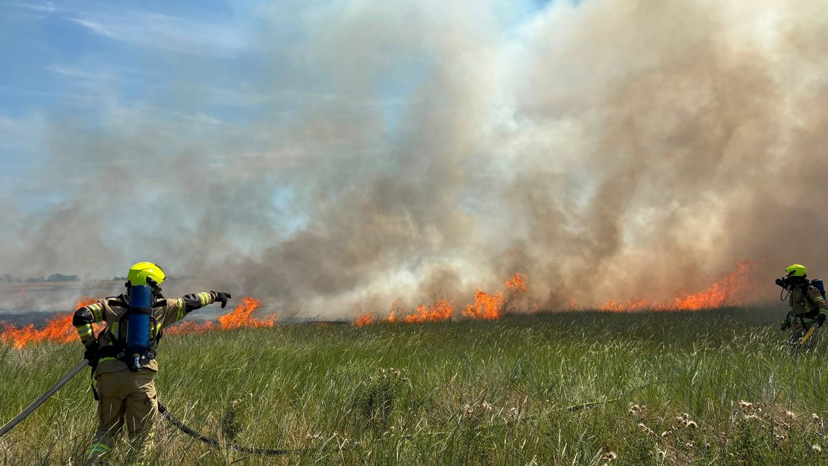 Stuk riet vliegt in brand bij Sint Philipsland, brandweer moest nog lang nablussen
