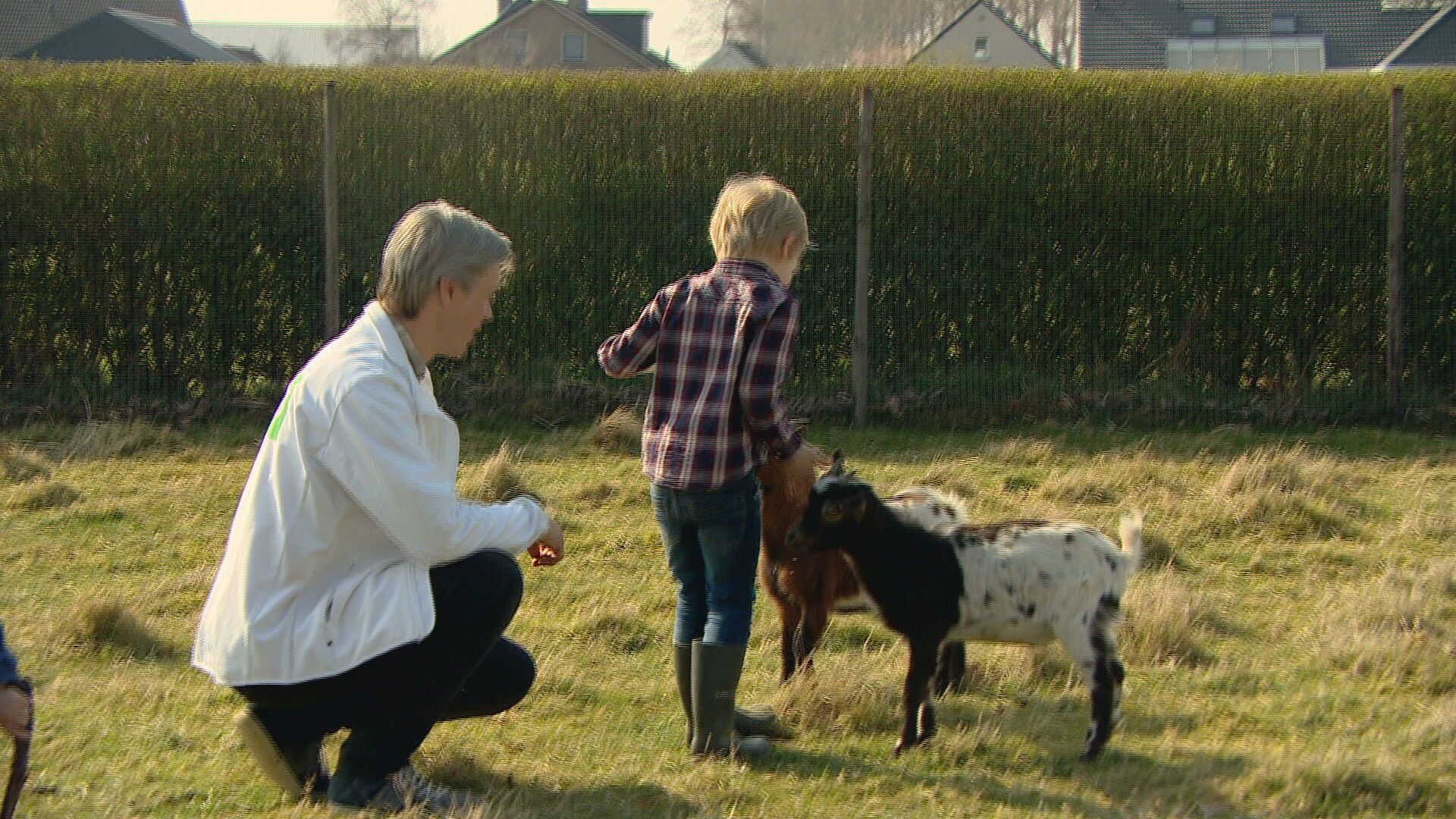 Pieter de Bruijn (D66 Hulst) vindt de formatie in Hulst vreemd verlopen