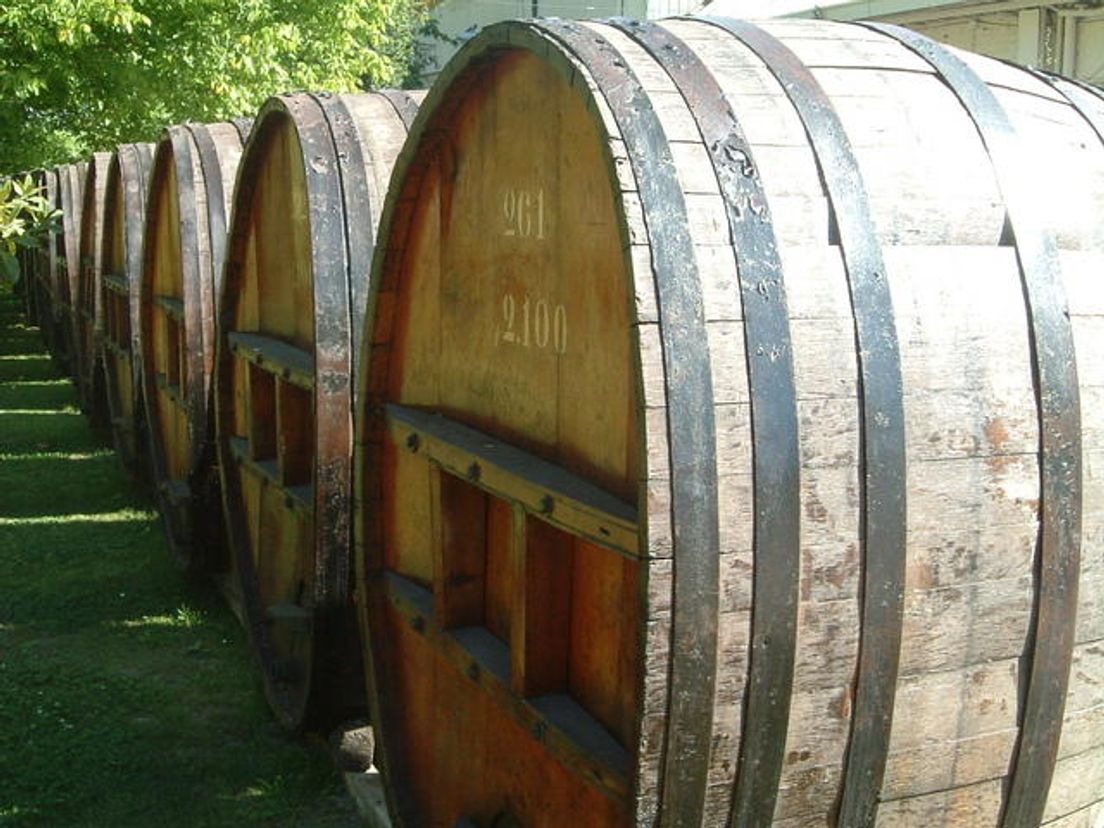 2010-trappist03.cropresize.tmp.jpg