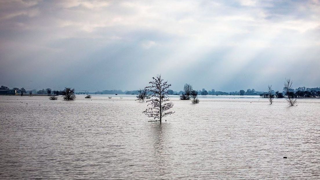 Hoogwater in de IJssel