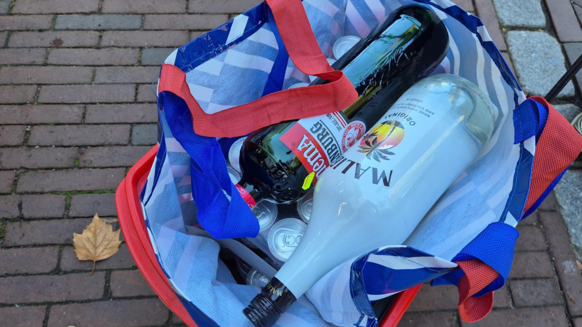 De vangst van Monique