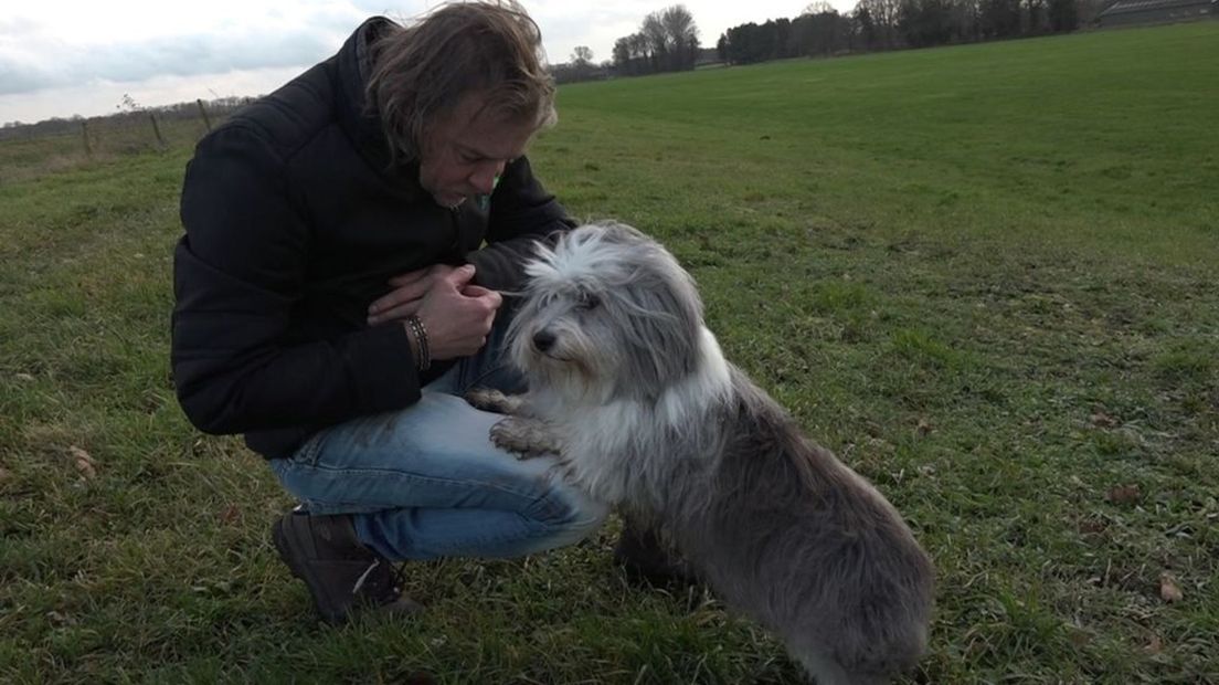 Je krijgt niet zomaar een leenhond om er tijdens de avondklok op uit te kunnen.