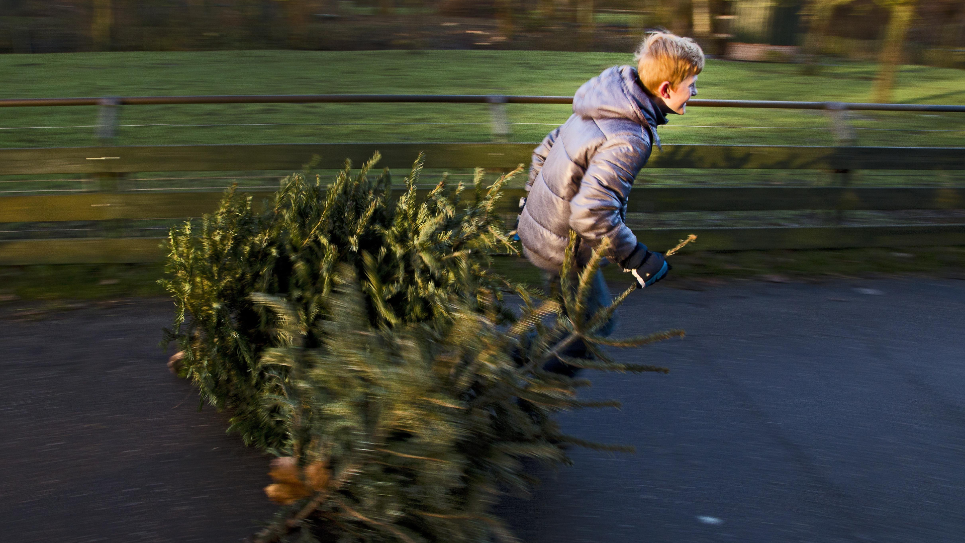 Na heisa over rekening kerstboominzameling zorgt sneeuw voor meevaller
