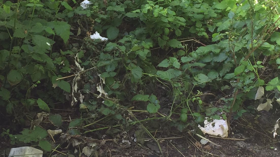 Dit soort gebruikt wc papier treffen de medewerkers van het waterschap nu vaker aan