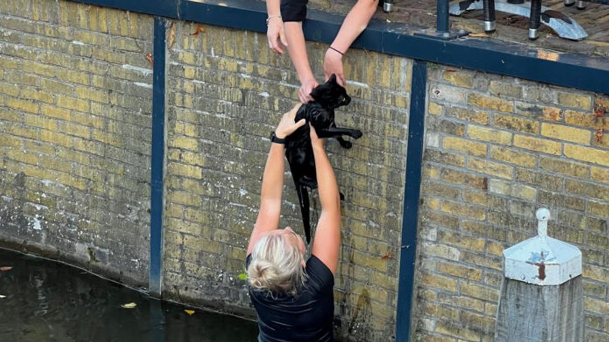 Emma springt in de gracht in Balk om kat te redden: 