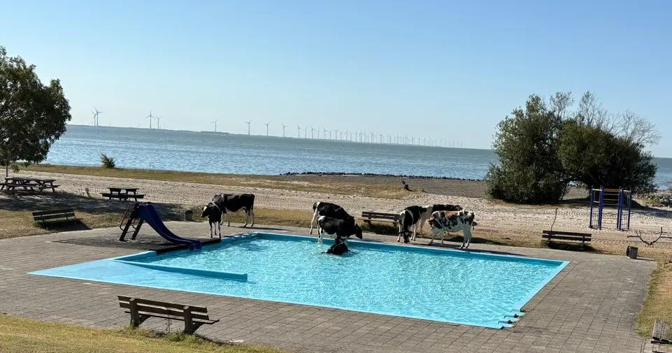 Nieuws