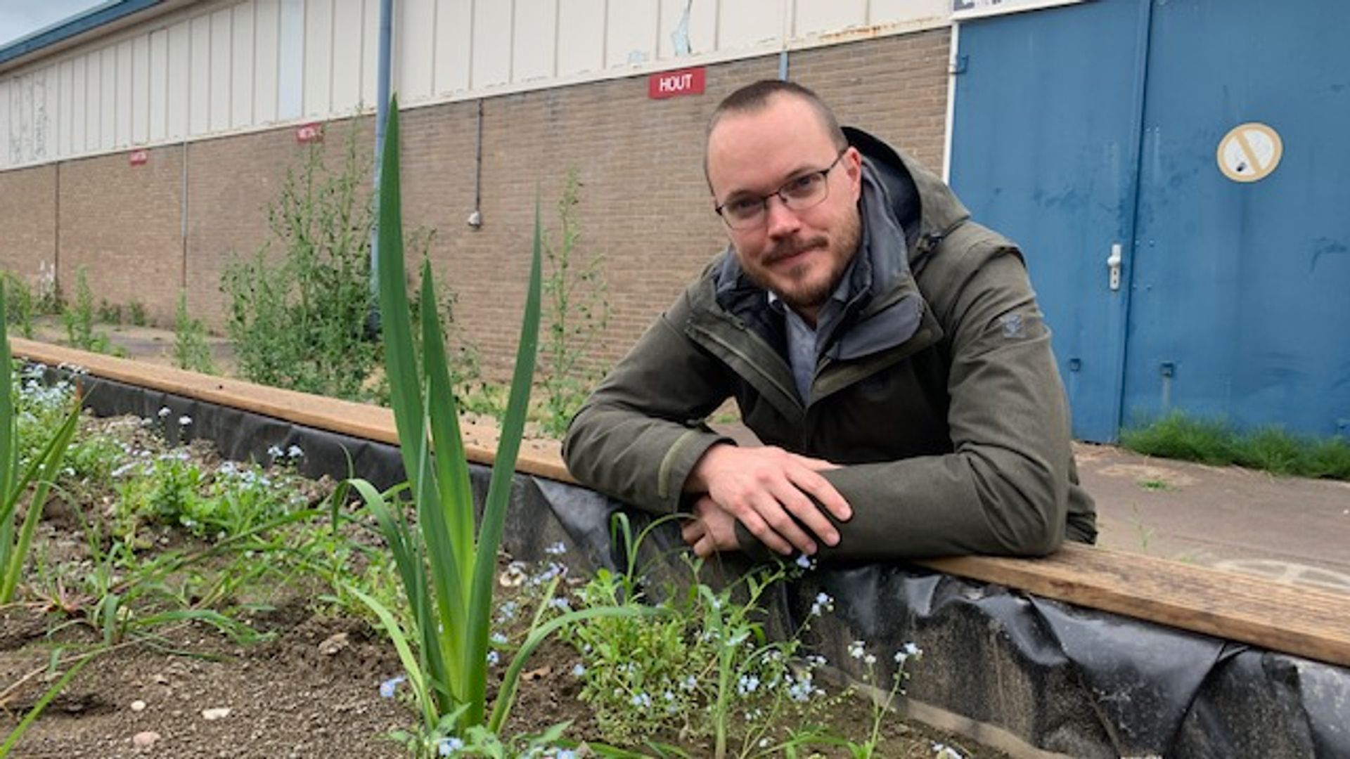 Vervuild grondwater zuiveren met planten en bomen? Het gebeurt in ...