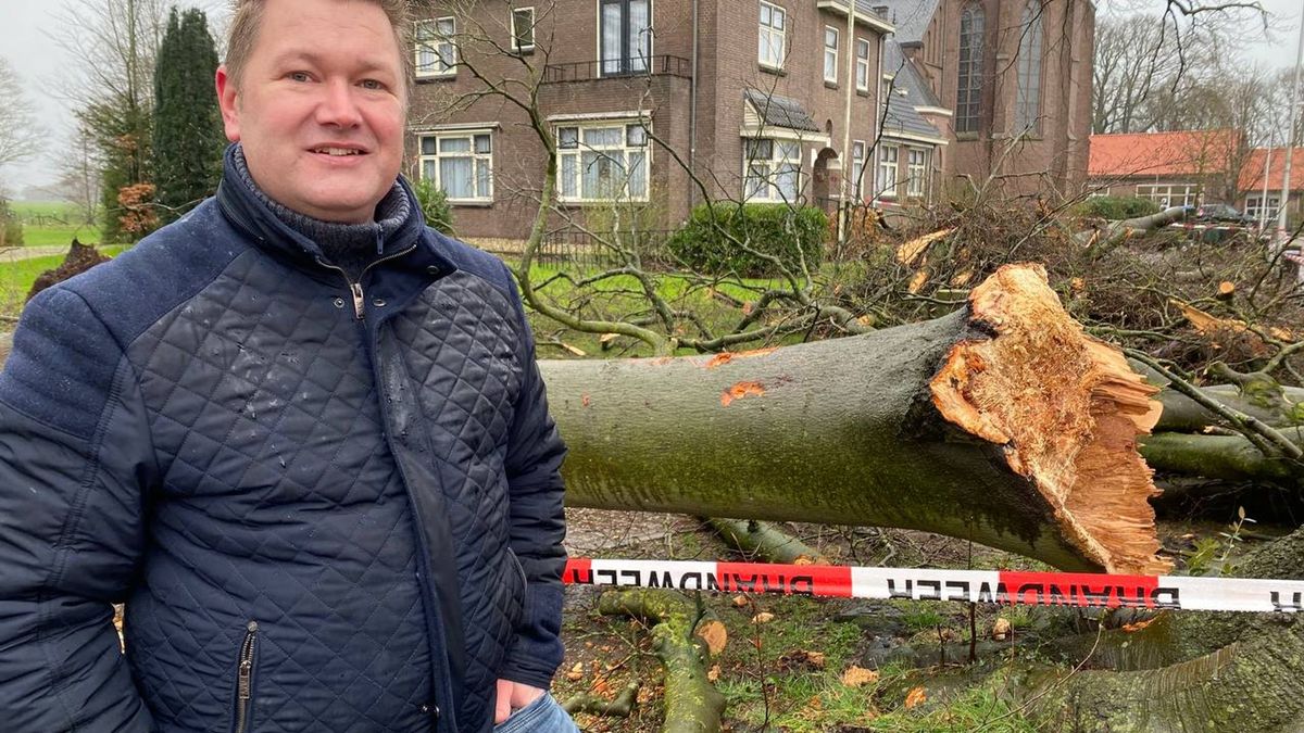 Monumentale rode beuk in Lettele was al ziek