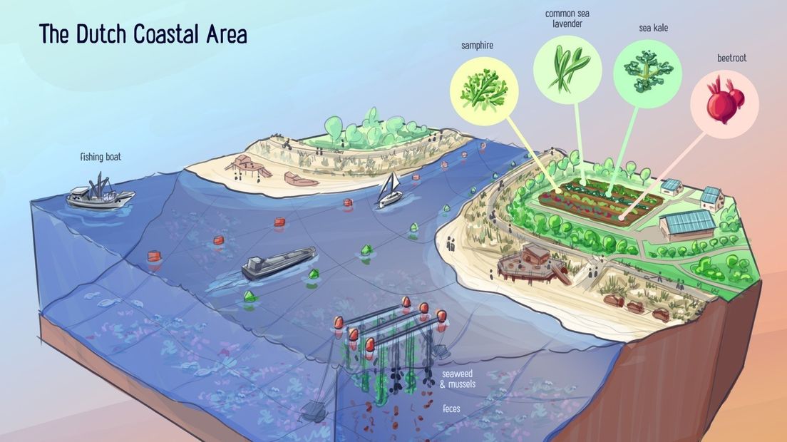 De plannen voor de Zeeuwse kustgebieden