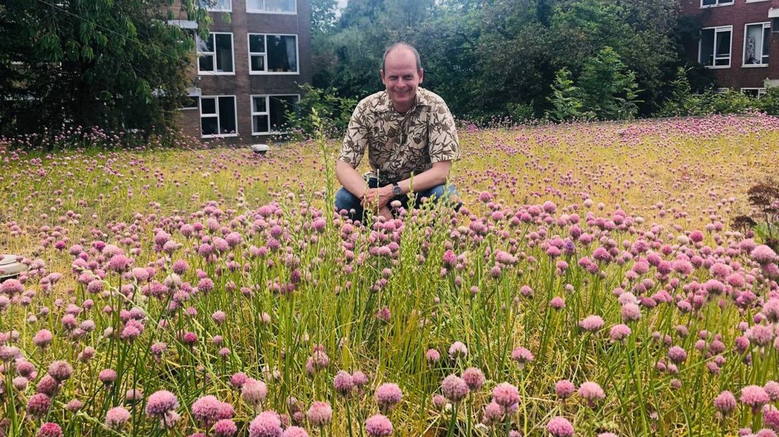 Stephan Hendriks in zijn bieslooktuin