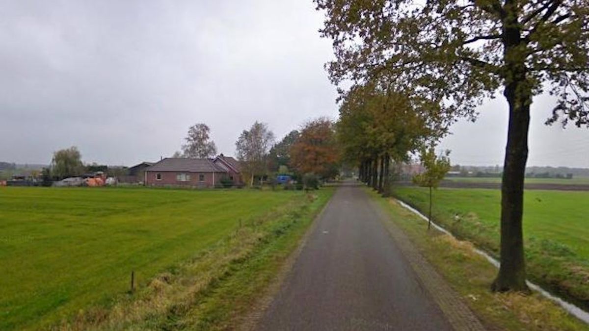 Politie betrapt zitmaaierdieven in Witharen