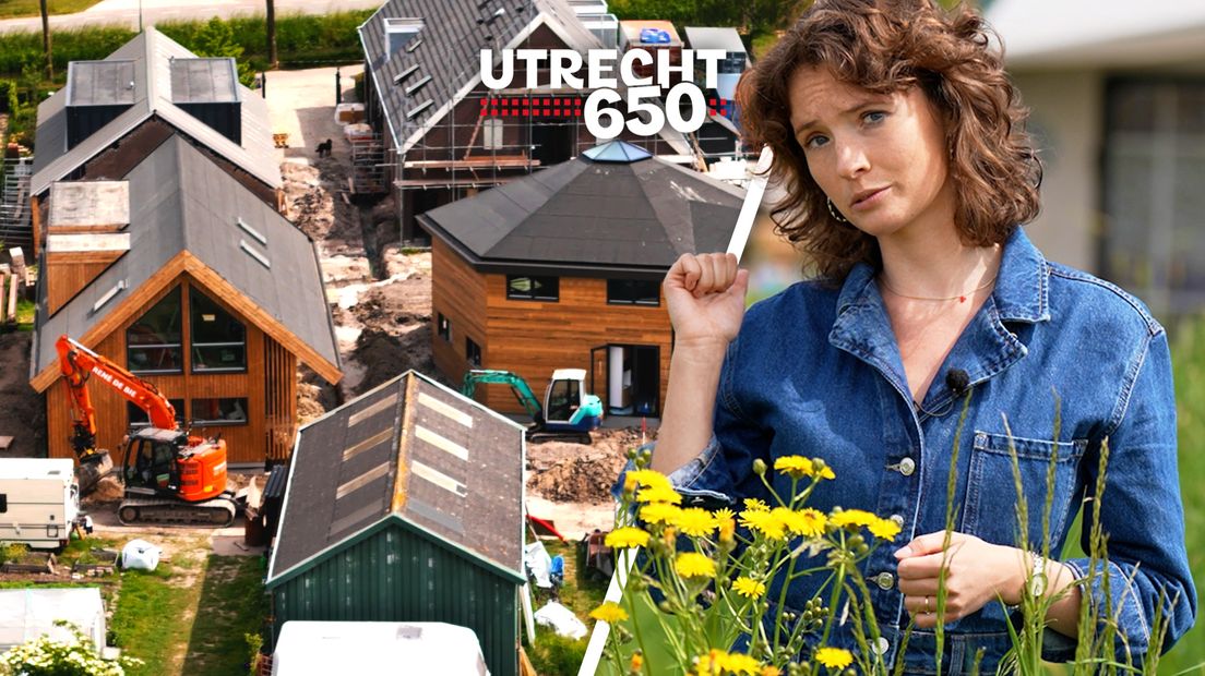 Hoe ziet de toekomst van de provincie Utrecht eruit? 'We zijn een klein