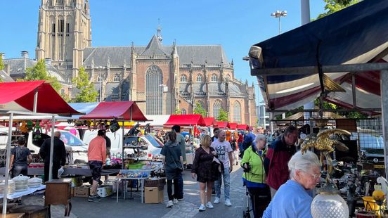 Dit is er dit weekend te doen in Gelderland