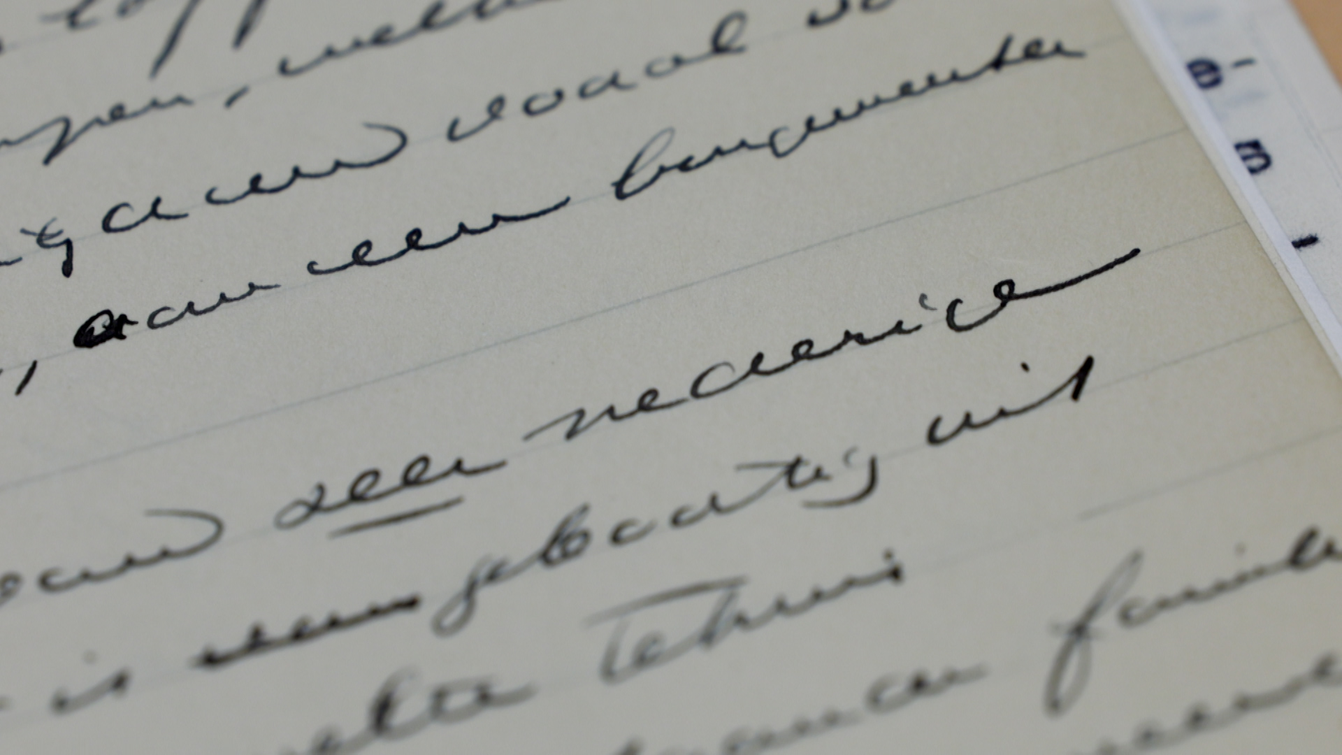 Discriminatie kost gemeentesecretaris van Havelte zijn droombaan