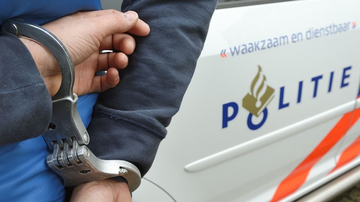 Tweede verdachte gewelddadige overval Tolkamer gepakt