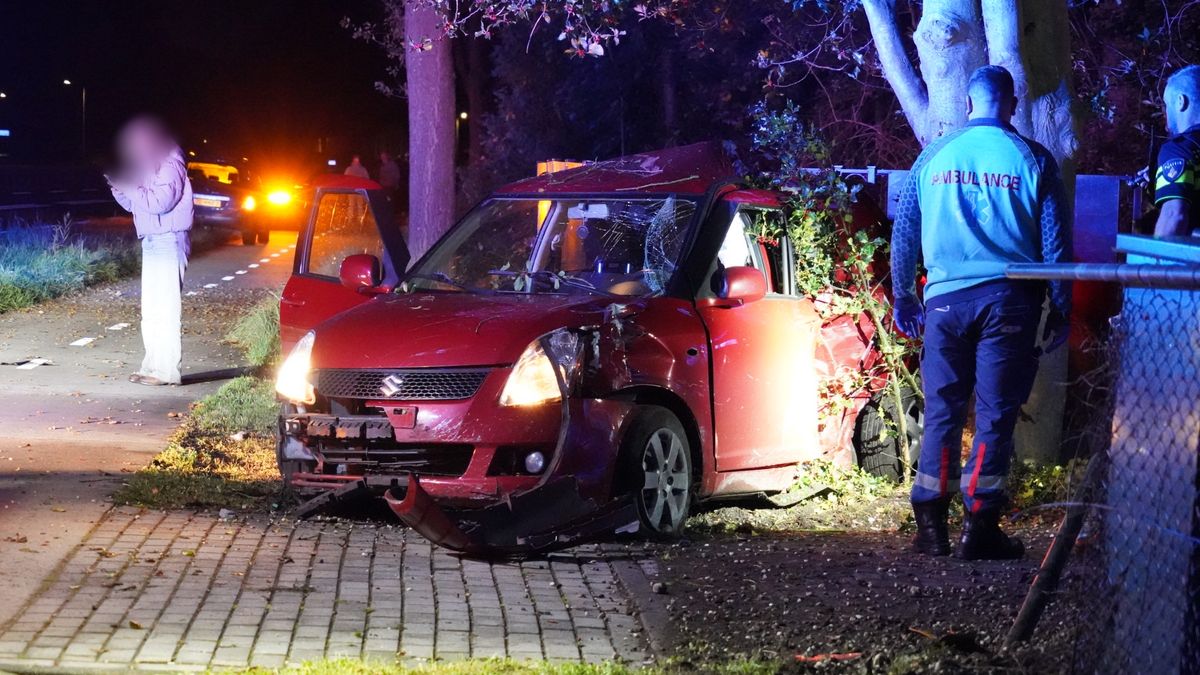 Automobilist raakt brievenbus, tuinhek en boom bij Hoogersmilde
