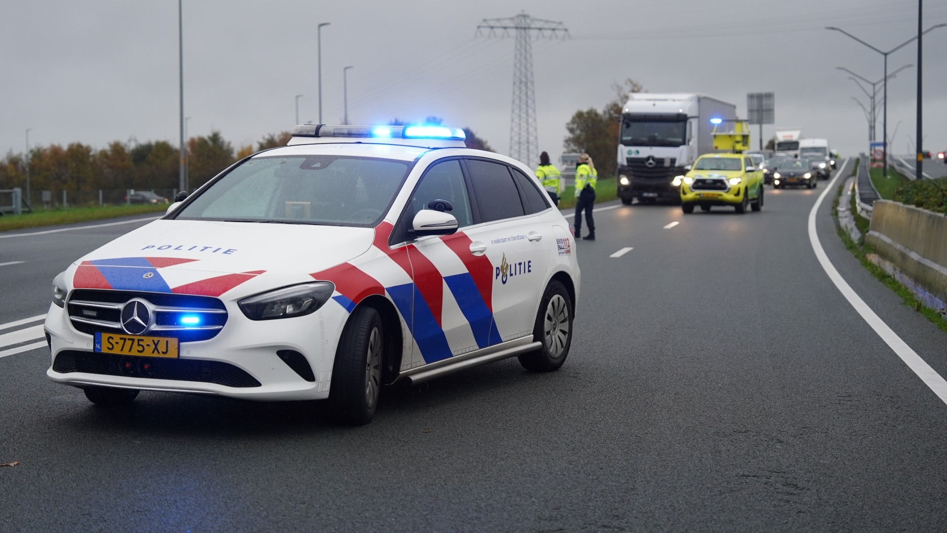 Botsing na uitwijkmanoeuvre vanwege dode zwaan op A4.