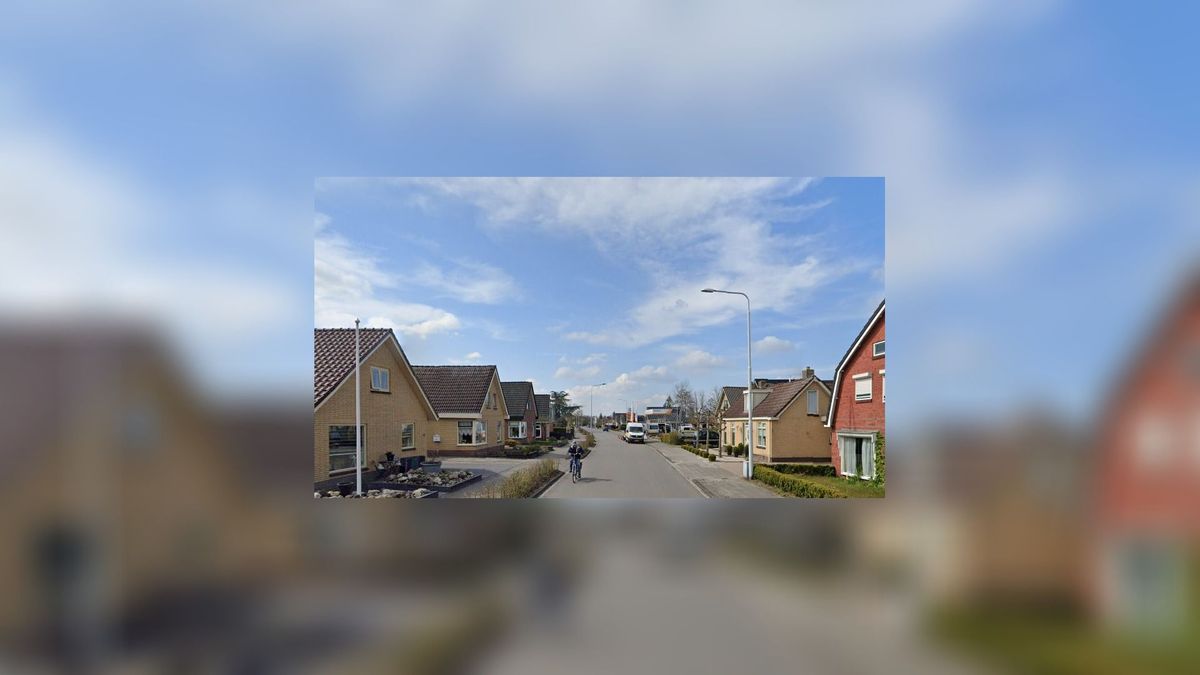 Inwoner van Twijzel krijgt celstraf voor doorrijden na aanrijding De Westereen