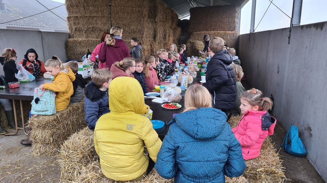 Schoolontbijt bij een varkensboer in Heino