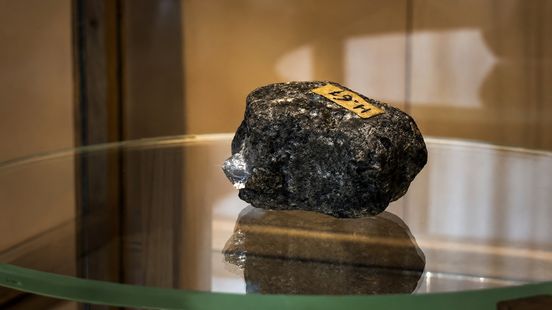 Hunebedcentrum vindt zeldzame gestolen diamant terug tussen fossielen: 'Bijna twintig jaar was ie spoorloos' Nieuws