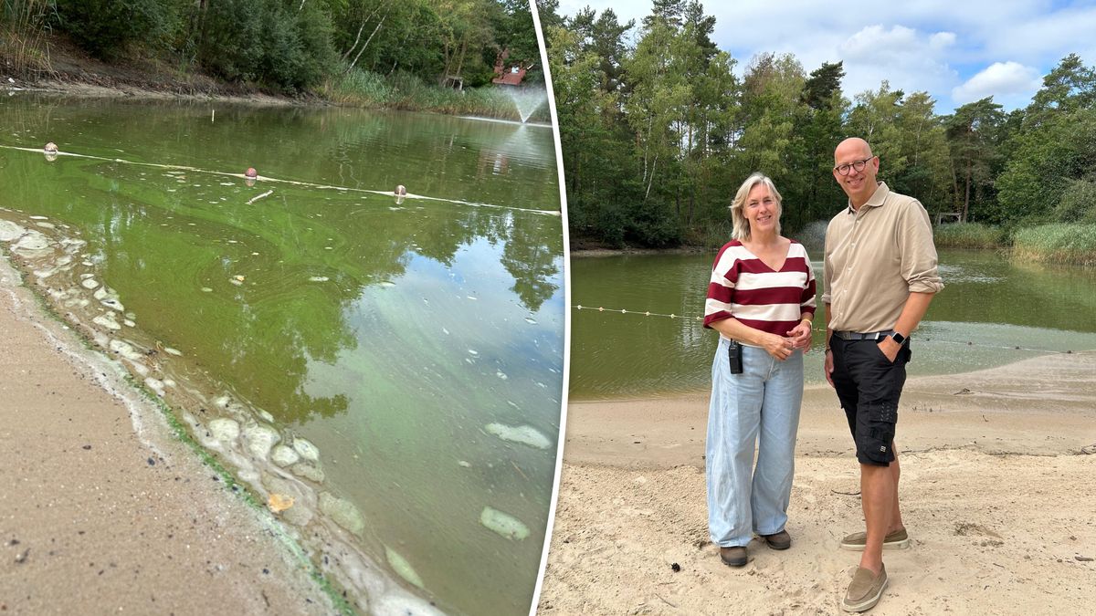 Blauwalg zet rem op zwemplezier tijdens vakantie