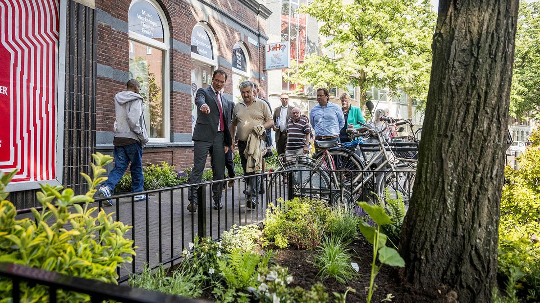 Het eerste ‘gouden’ idee is gerealiseerd: boomspiegels op de Paviljoensgracht.