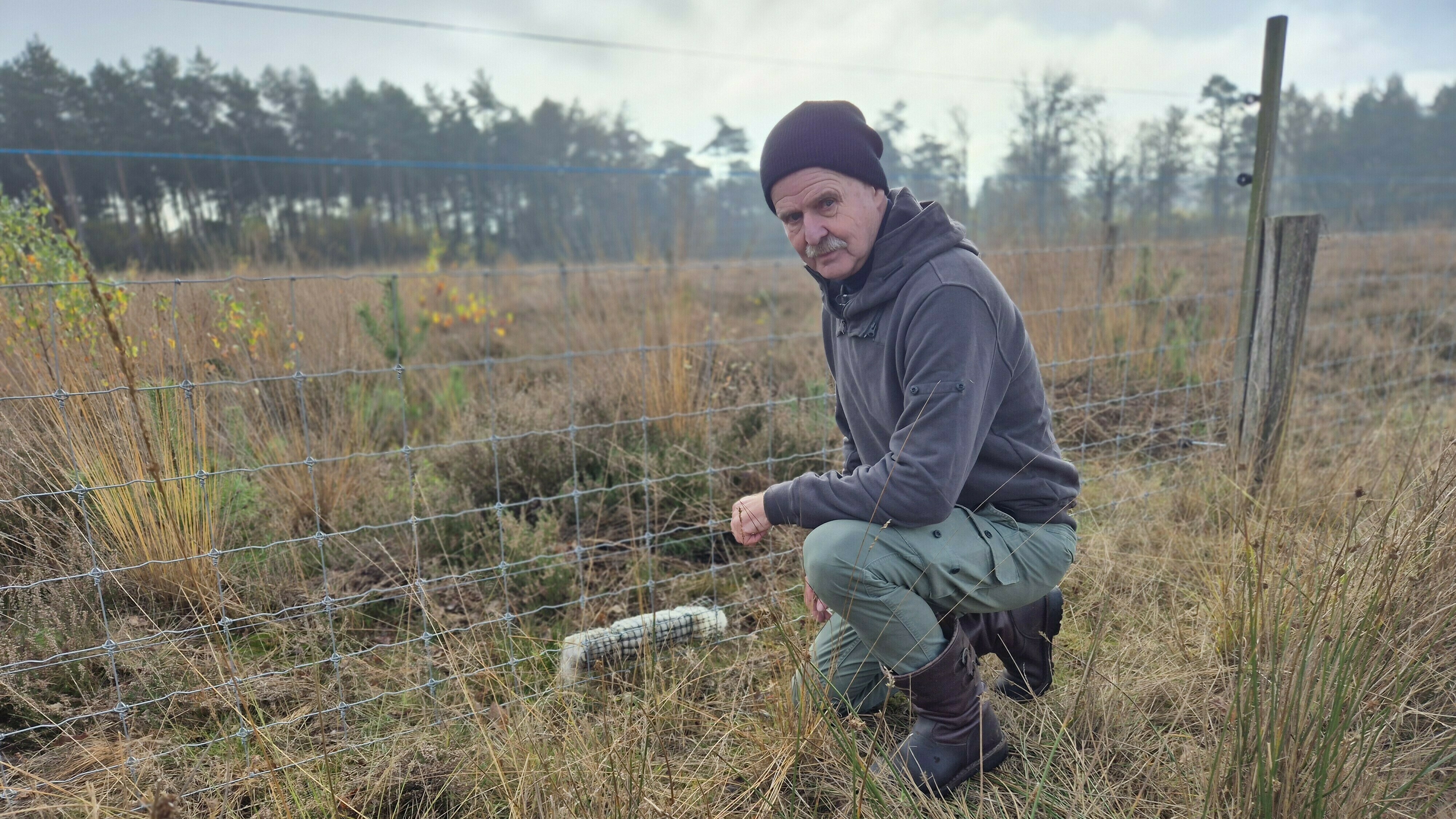 Zoektocht naar waterdicht wolfwerend hek met geur, geluid en een tik op de neus