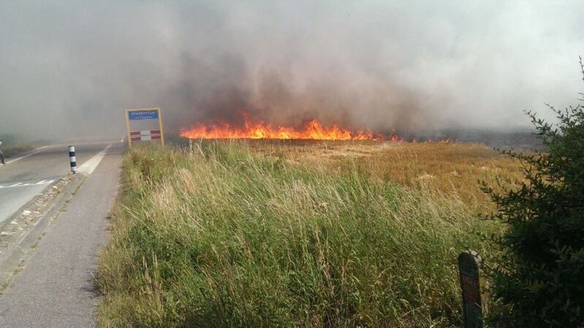 Graanveld in brand in Ulestraten