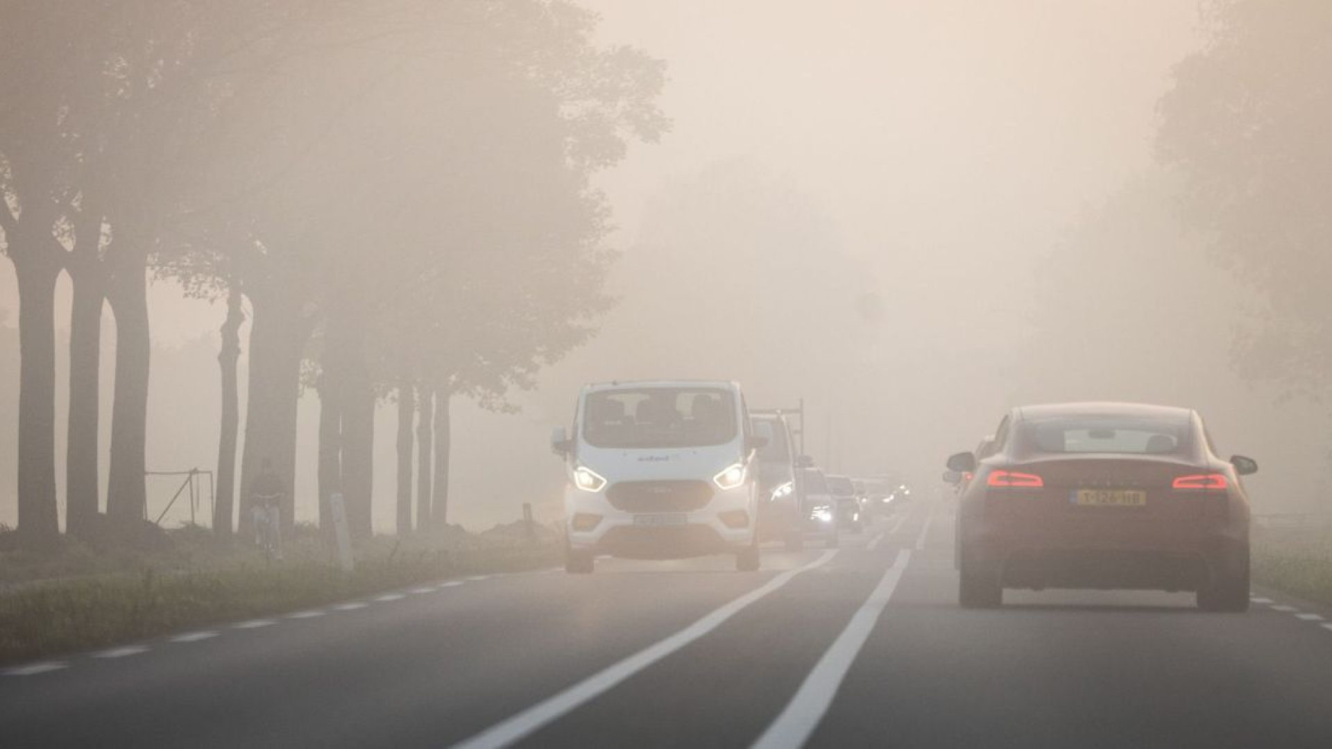 Code geel: dichte mist in Gelderland - Omroep Gelderland