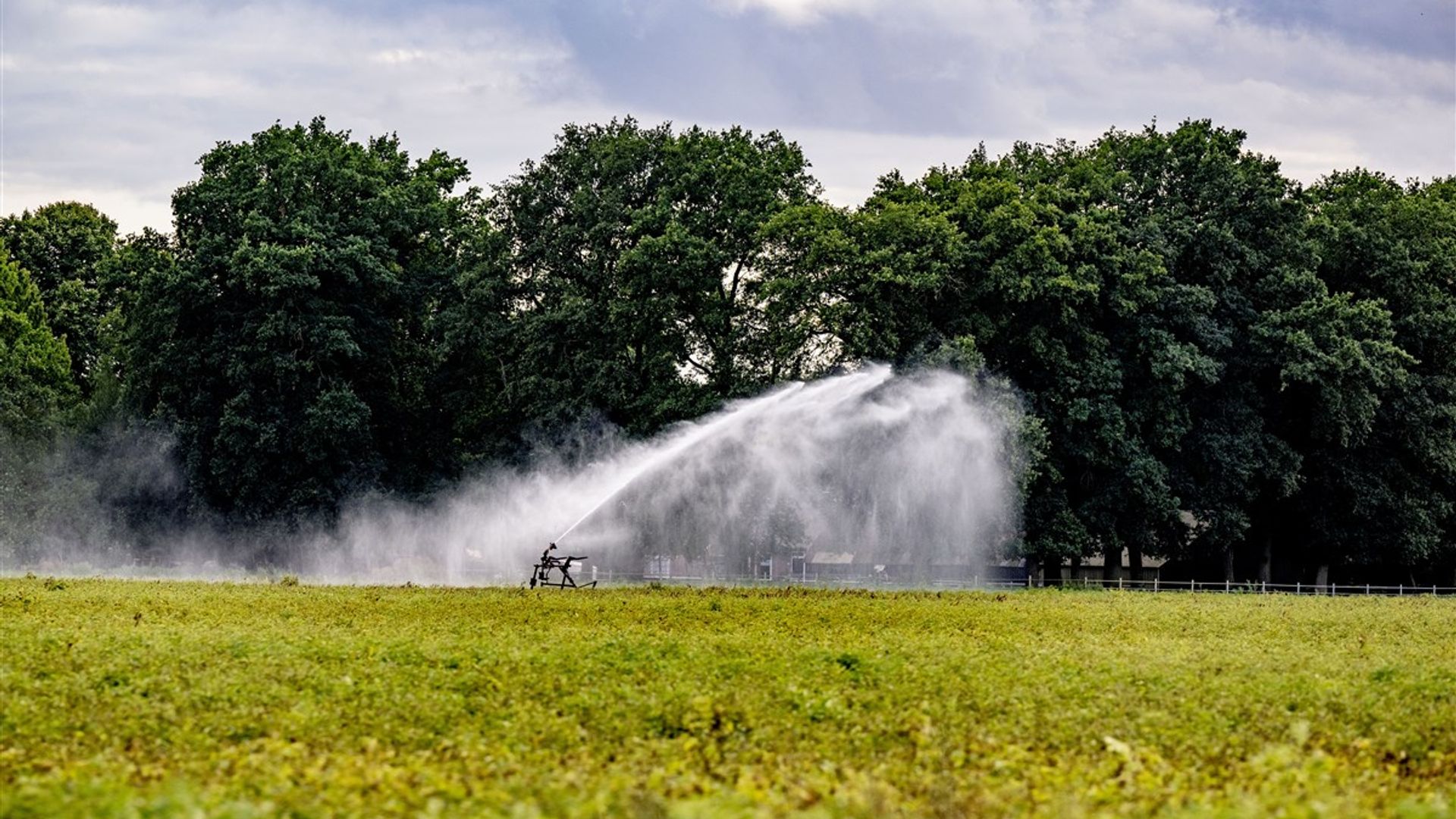 Waterschap WDODelta Heft Onttrekkingsverbod Oppervlaktewater Op - RTV Oost