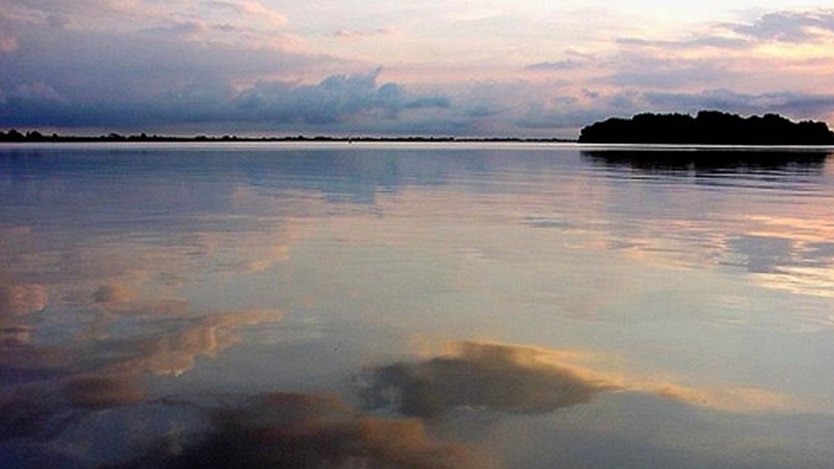 Akkerbouwer Gerard Hegge, voorzitter van de afdeling De Marne van LTO Noord