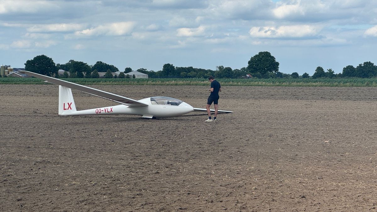 Zweefvliegtuig maakt noodlanding in weiland Nederweert