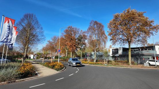 'Een boom verkoelt als tien airco’s', bedrijventerrein in Duiven vergroend
