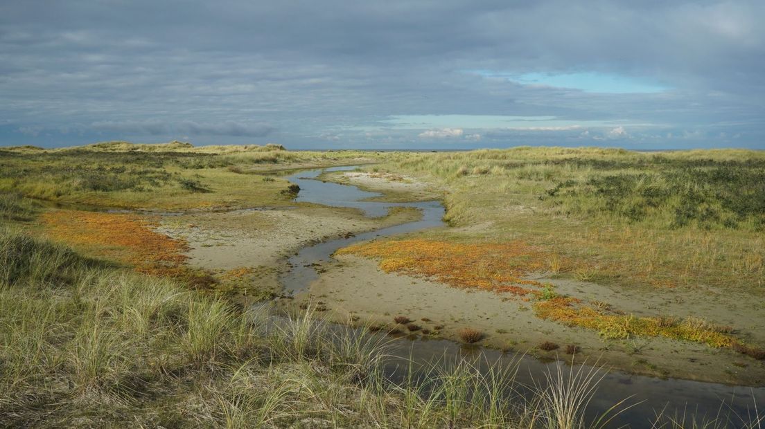 De oostkant van Schiermonnikoog