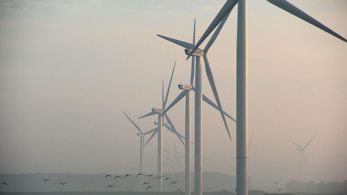 Het windmolenpark langs het Spuikanaal bij Bath