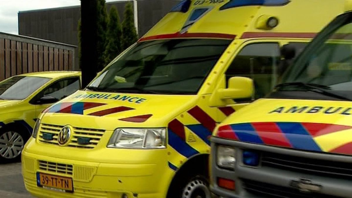 Assense raakt gewond op Terschelling