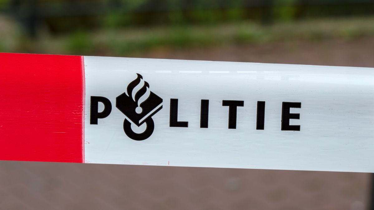 Herdershond valt geit aan op Ameland
