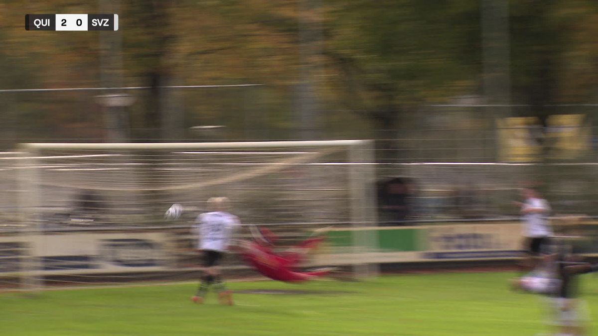 Samenvatting Quick'20 - SVZW