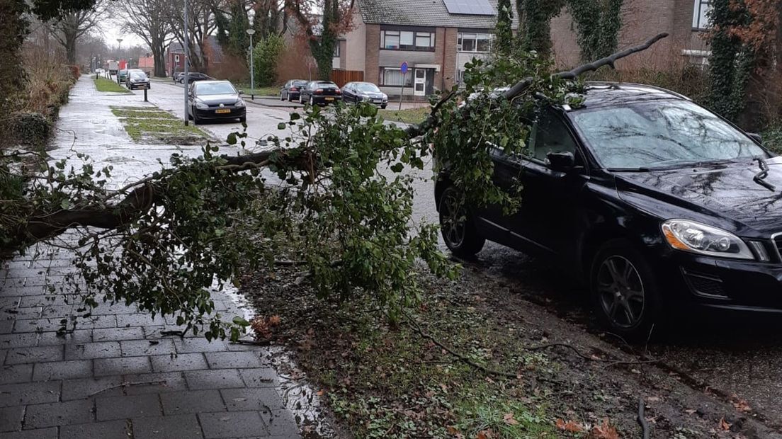 In Beilen ontstond ook schade door omgevallen bomen