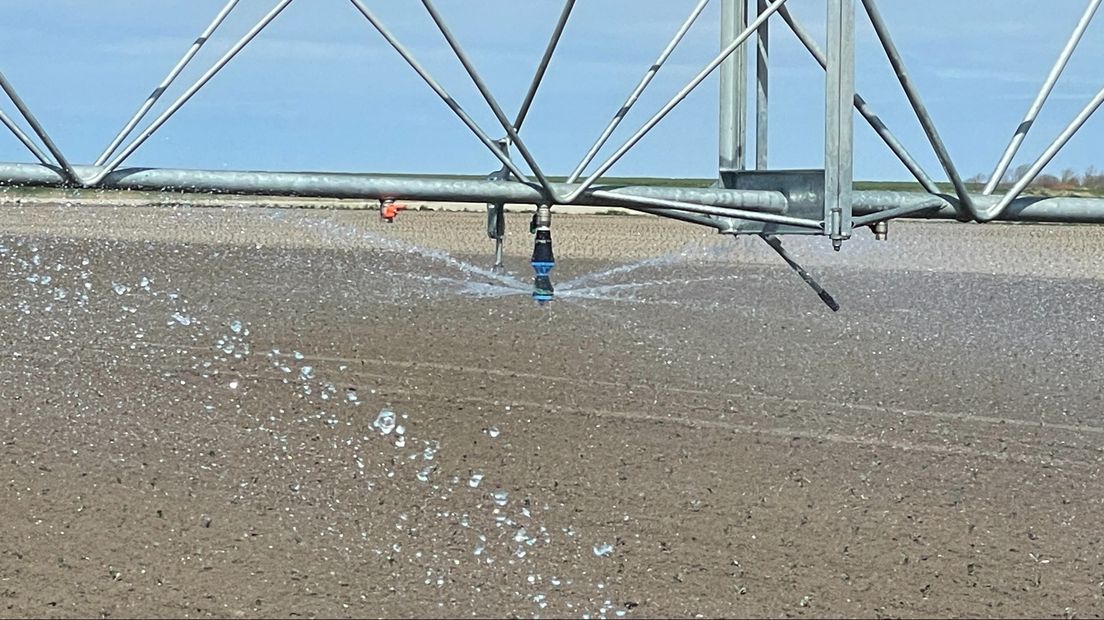Er is voorlopig voldoende water aanwezig om te kunnen beregenen