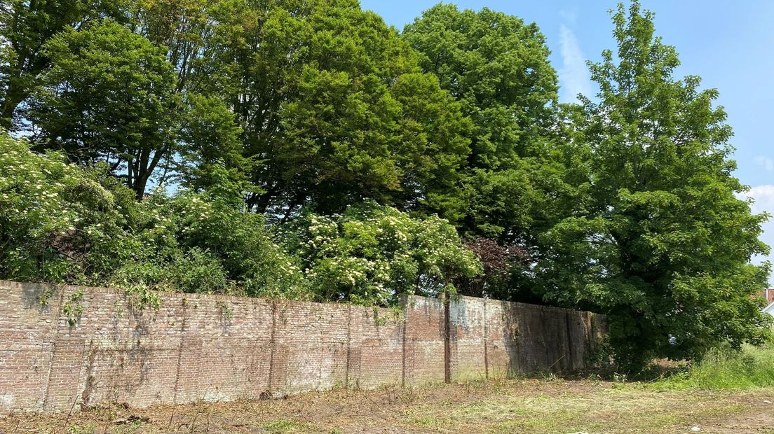 De muur was volledig begroeid met bramenstruiken en klimop