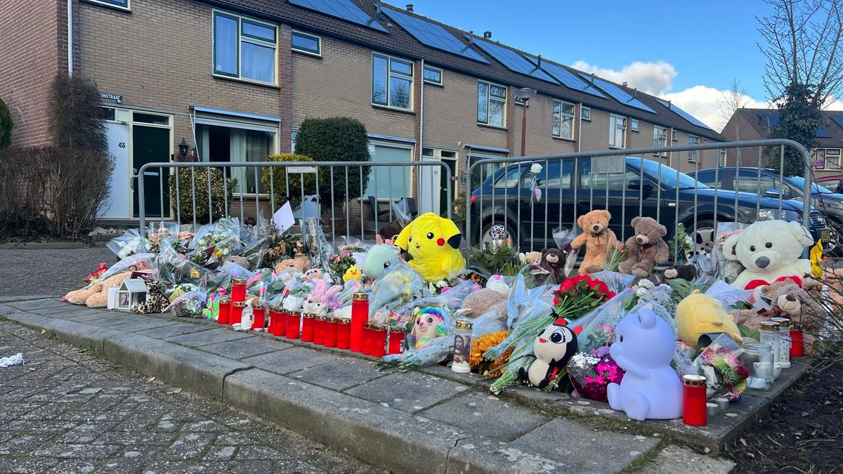 Hamzah L. 'weet niets meer' van doodsteken Sohani (11) uit Nieuwegein