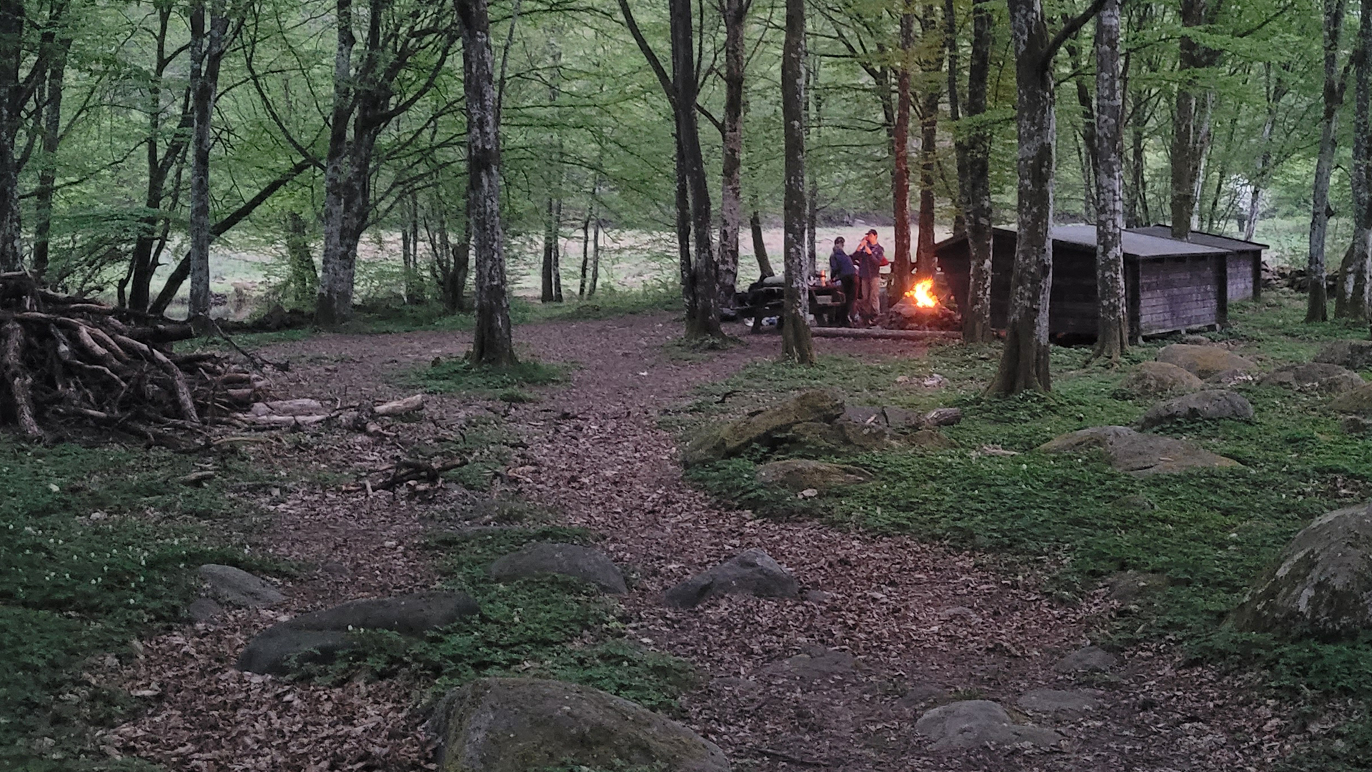Kamperen in een 'shelter' in het bos