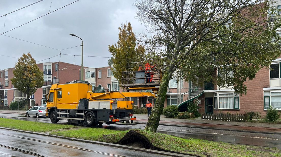 Ook de grasmat is omhoog gekomen