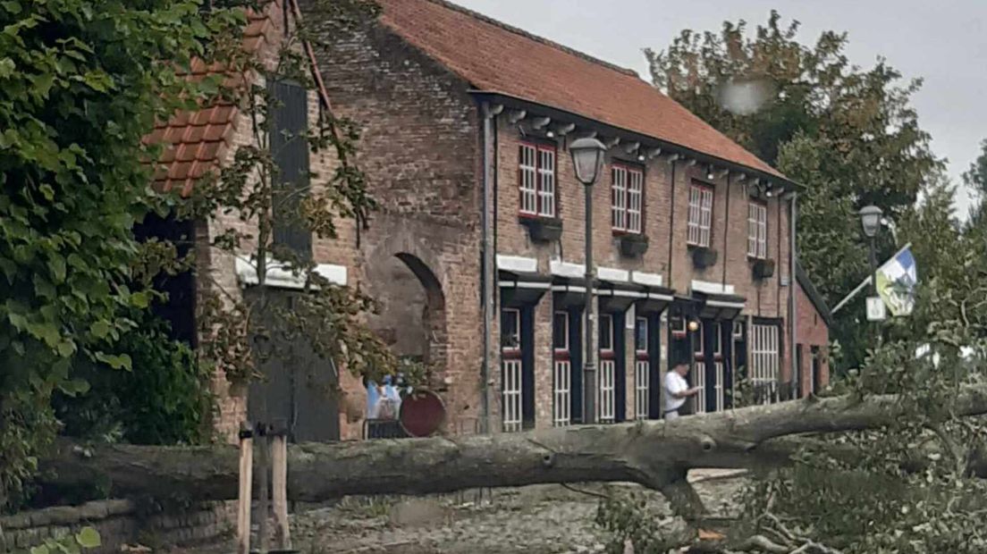 In Waterlandkerkje viel een boom op de weg