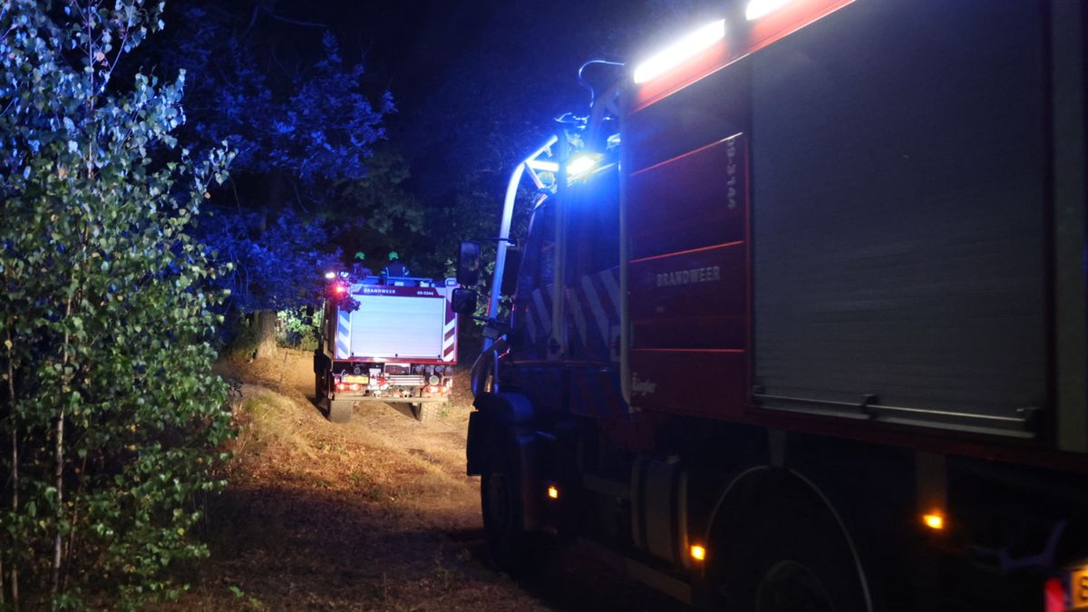 Al 100 hectare bos verwoest door natuurbrand, ook dinsdagochtend geen treinen rond Venray