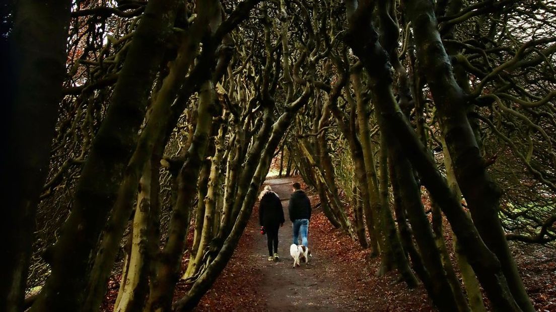 Wandelen in de Groene Bedstee