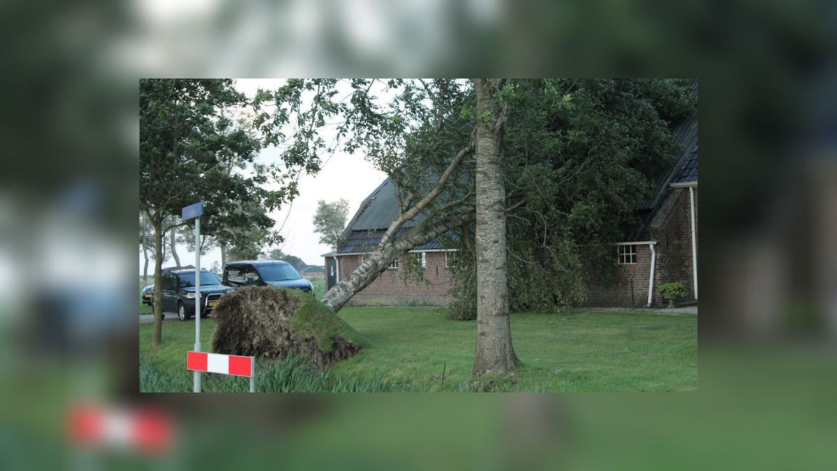 Boom valt op boerderij in Lioessens