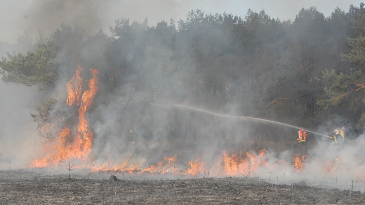 Grote heidebrand bij Wapserveen